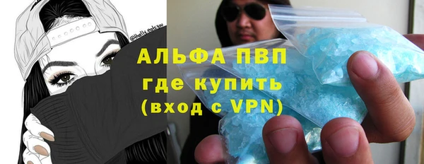ПСИЛОЦИБИНОВЫЕ ГРИБЫ Михайлов