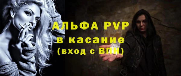 ПСИЛОЦИБИНОВЫЕ ГРИБЫ Михайлов