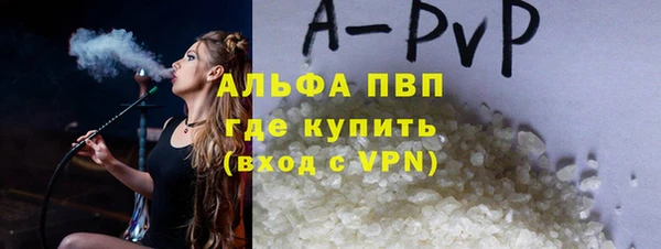 ПСИЛОЦИБИНОВЫЕ ГРИБЫ Михайлов