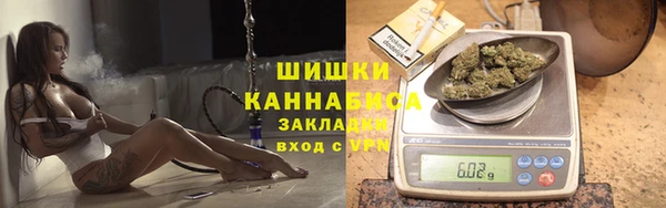 ПСИЛОЦИБИНОВЫЕ ГРИБЫ Михайлов