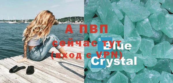 ПСИЛОЦИБИНОВЫЕ ГРИБЫ Михайлов