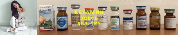 ПСИЛОЦИБИНОВЫЕ ГРИБЫ Михайлов