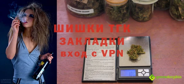 ПСИЛОЦИБИНОВЫЕ ГРИБЫ Михайлов