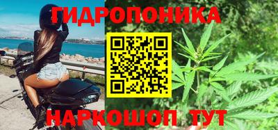 мяу мяу мука Бузулук