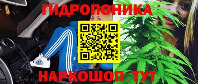спиды Заволжье
