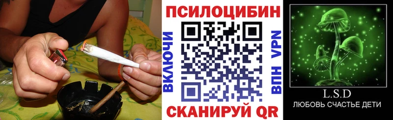 blacksprut как зайти  Нягань  даркнет какой сайт  Псилоцибиновые грибы Magic Shrooms 
