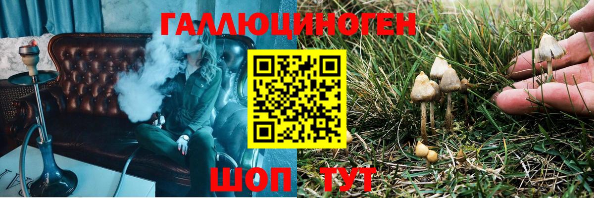 Галлюциногенные грибы Magic Shrooms Нягань