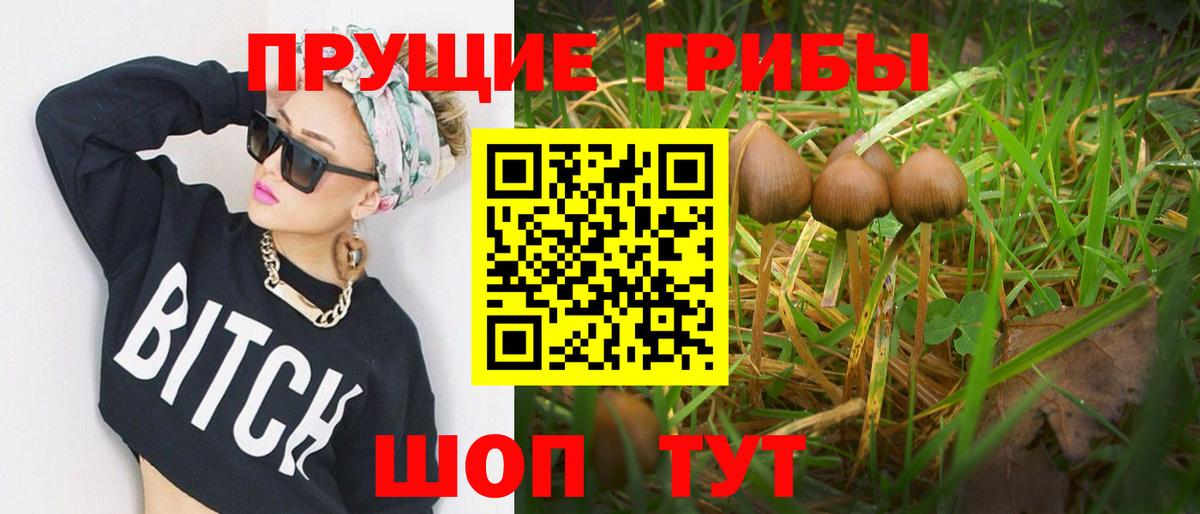 Псилоцибиновые грибы Psilocybe Нягань