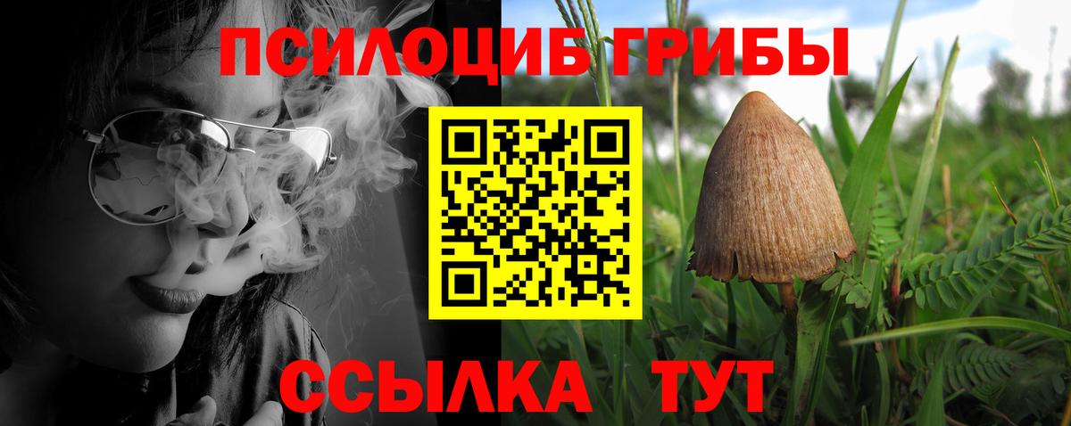 Нягань  что такое   Вход с VPN  Псилоцибиновые грибы GOLDEN TEACHER 